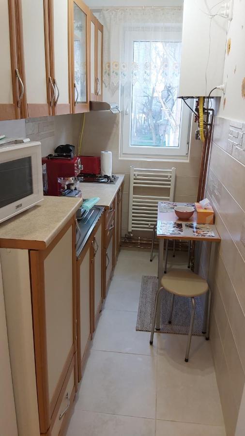 萨图马雷Relax Apartament公寓 外观 照片